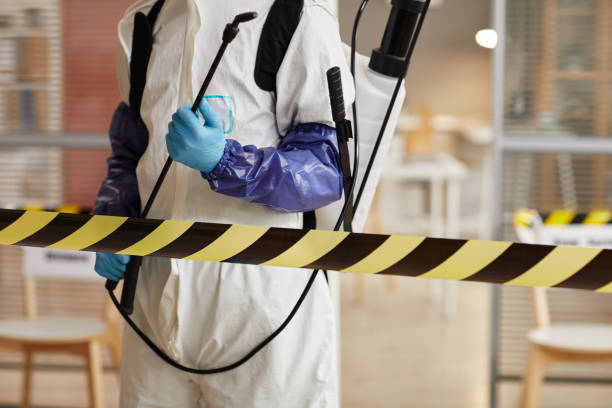 Professional Sewage Cleanup technician working in Rogers, MN